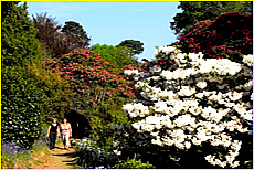 Cornwall Tourism Magazine - Meudon Hotel Garden - small